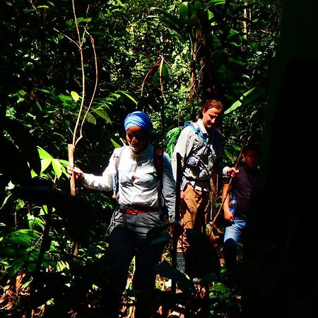 Amazon Acai Lodge Leticia Dış mekan fotoğraf