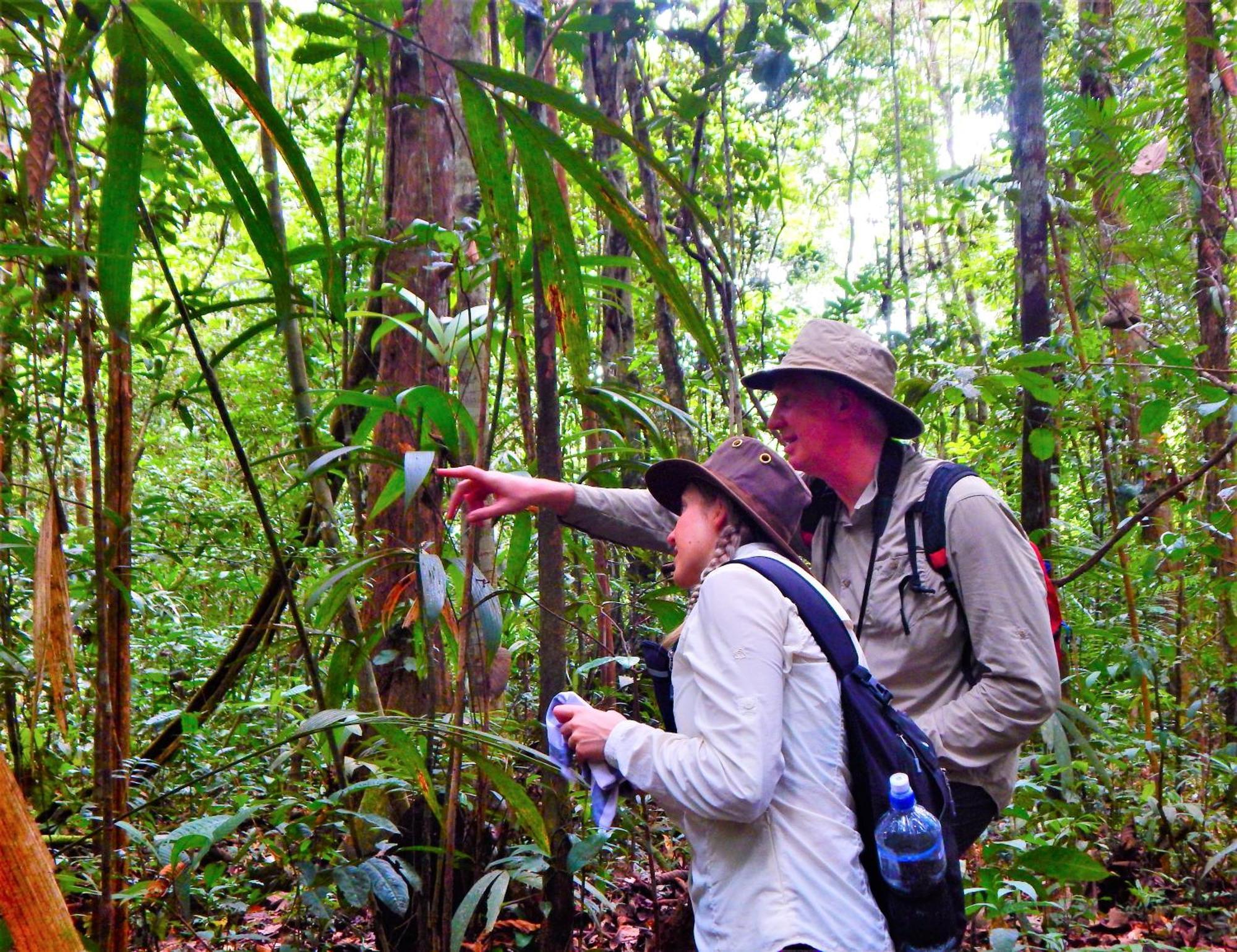 Amazon Acai Lodge Leticia Dış mekan fotoğraf