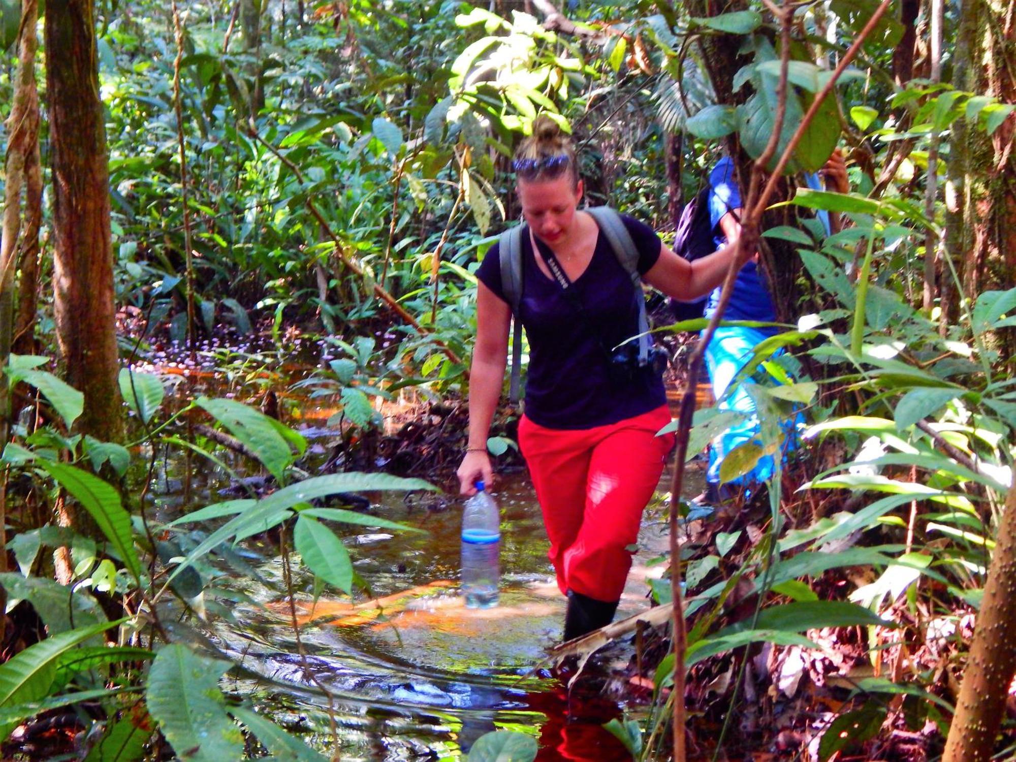 Amazon Acai Lodge Leticia Dış mekan fotoğraf