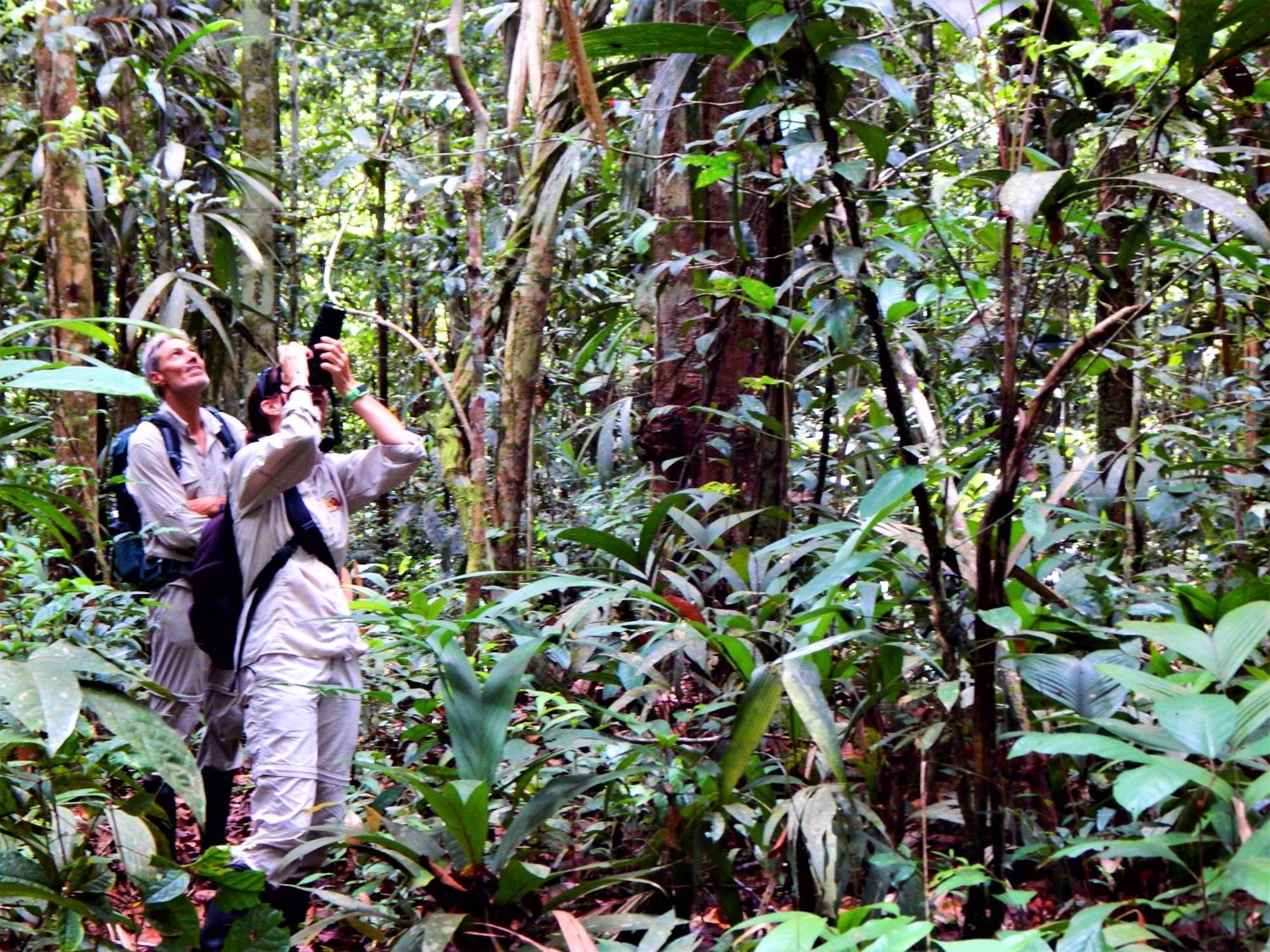 Amazon Acai Lodge Leticia Dış mekan fotoğraf
