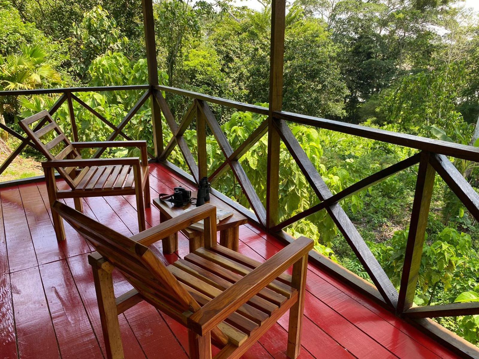 Amazon Acai Lodge Leticia Dış mekan fotoğraf