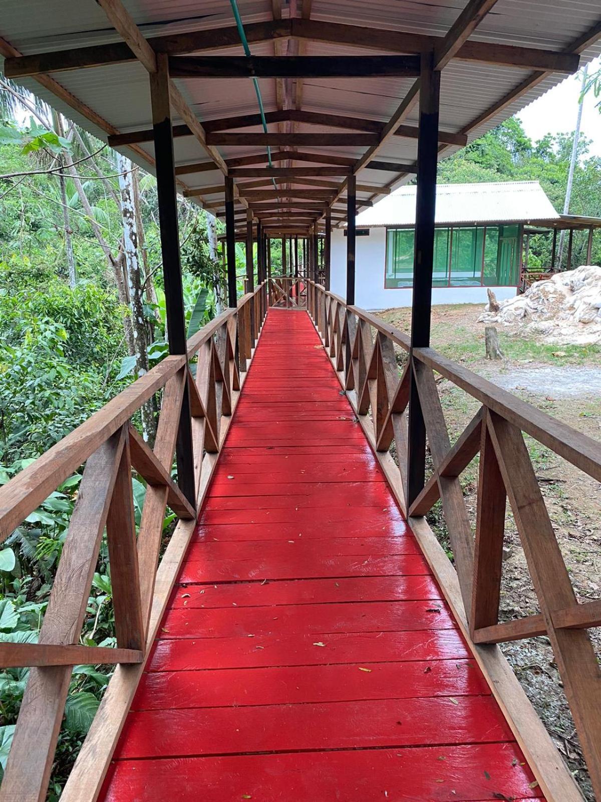 Amazon Acai Lodge Leticia Dış mekan fotoğraf