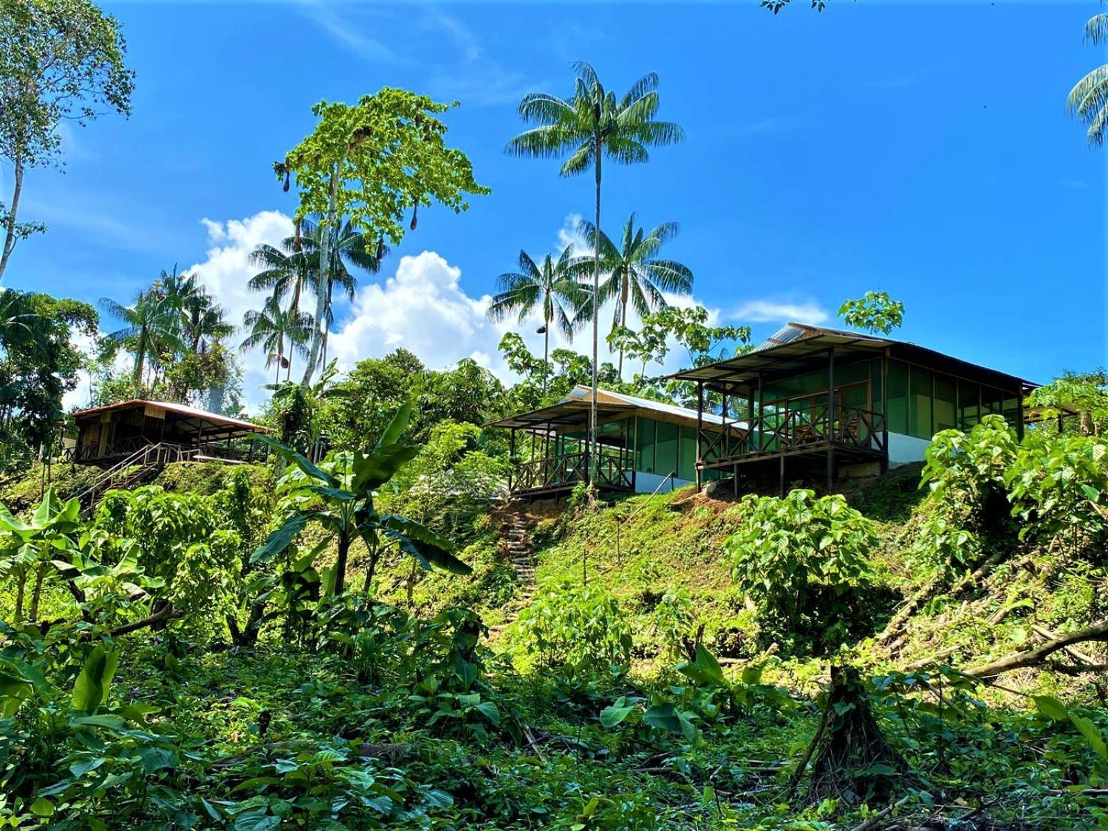 Amazon Acai Lodge Leticia Dış mekan fotoğraf