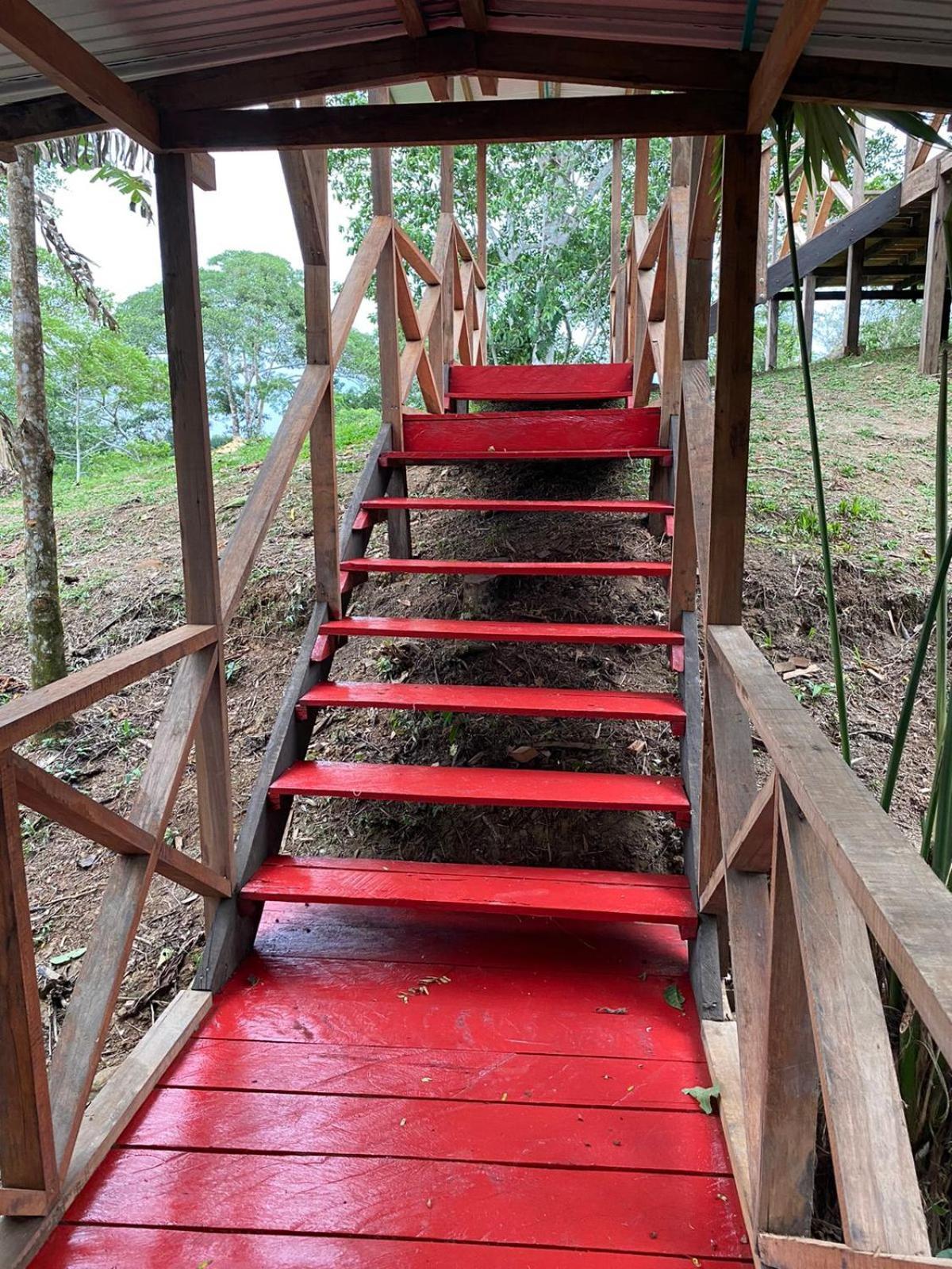 Amazon Acai Lodge Leticia Dış mekan fotoğraf